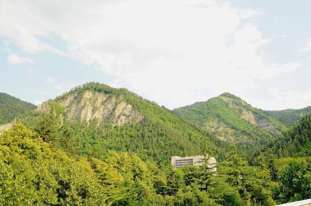 Alma-Ata Hotel Borjomi Luaran gambar